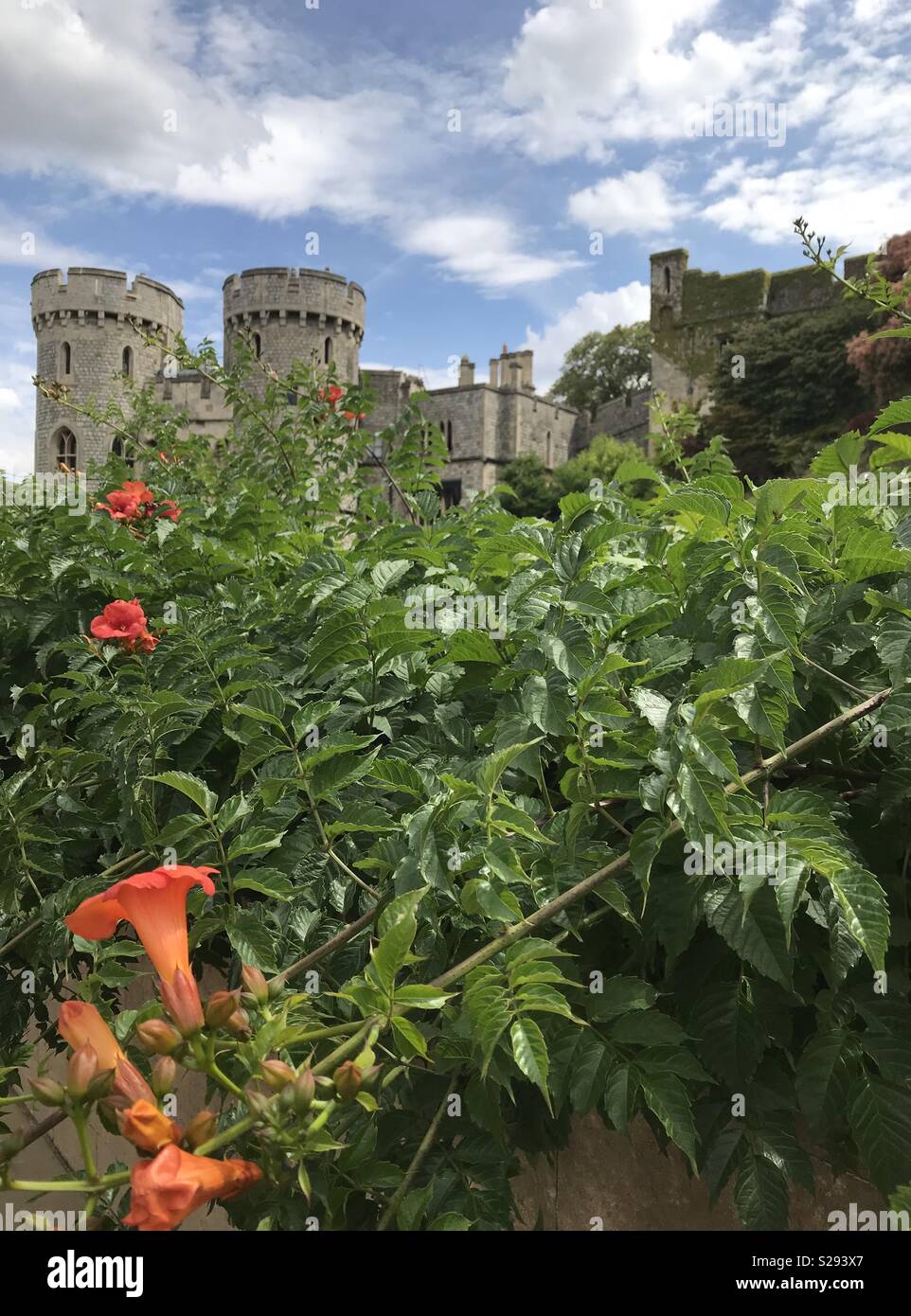 Windsor Castle, England. - Smartphone Captured Stock Image