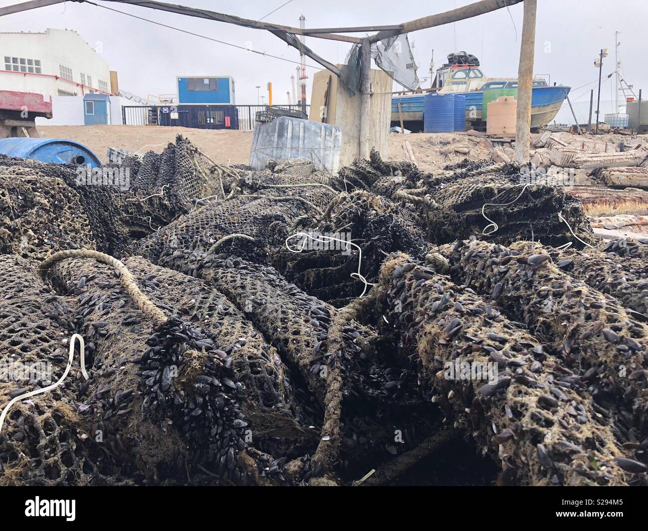 Oyster farm, Walvis Bay, Namibia Stock Photo Alamy