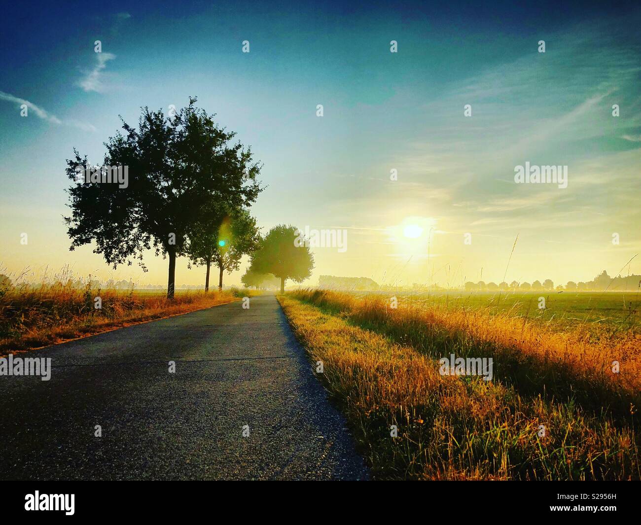 Country road sunrise - Smartphone Captured Stock Image