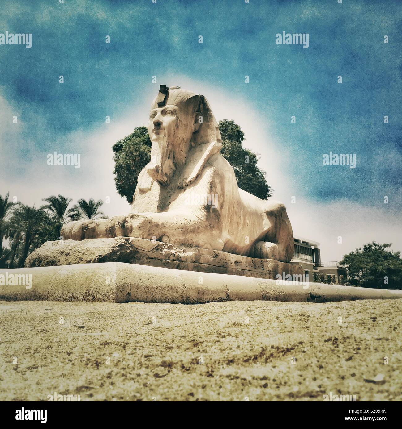 Sphinx at Memphis Stock Photo Alamy