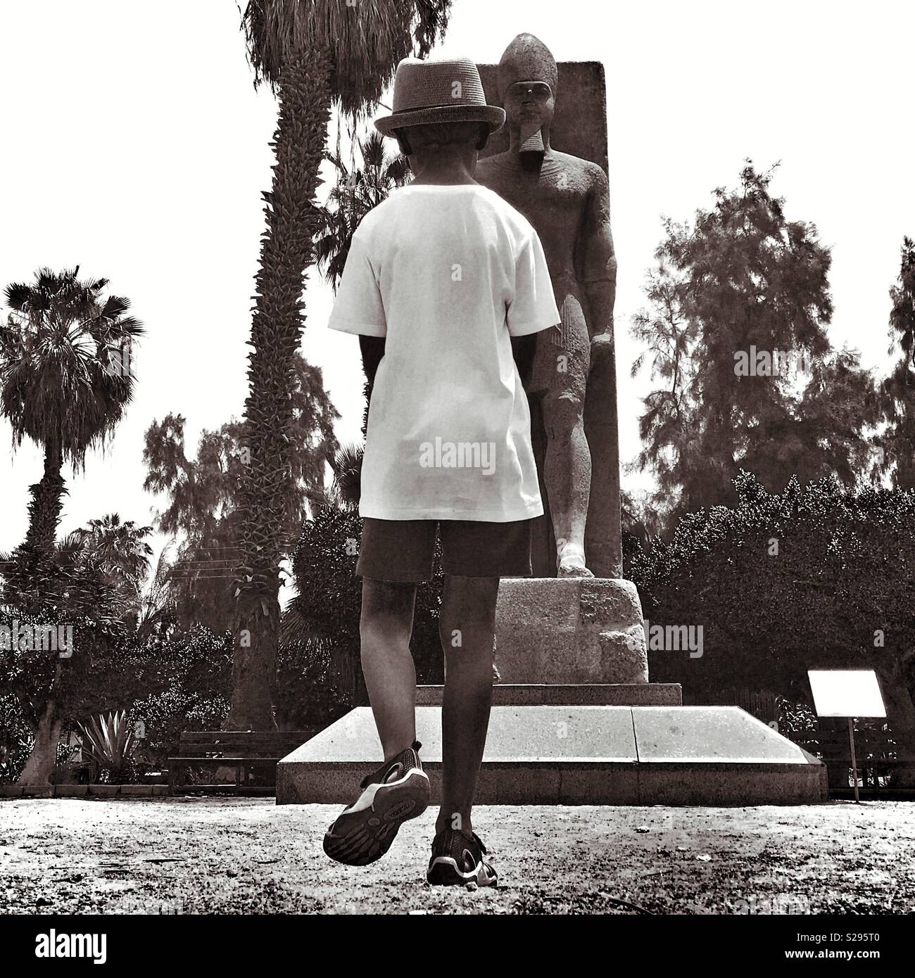 Giant statue at Memphis - Smartphone Captured Stock Image