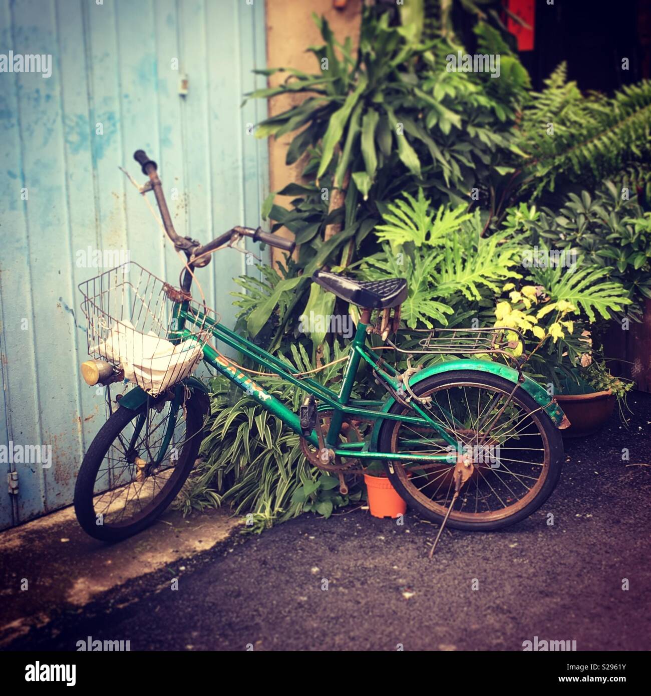 we ride bicycle