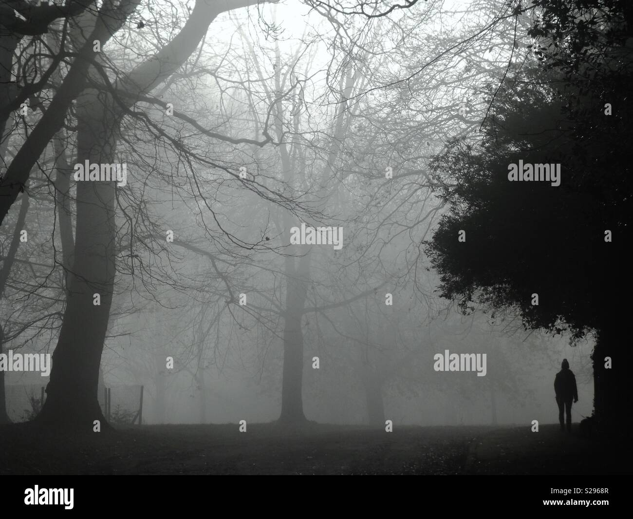 Foggy walking hi-res stock photography and images - Alamy