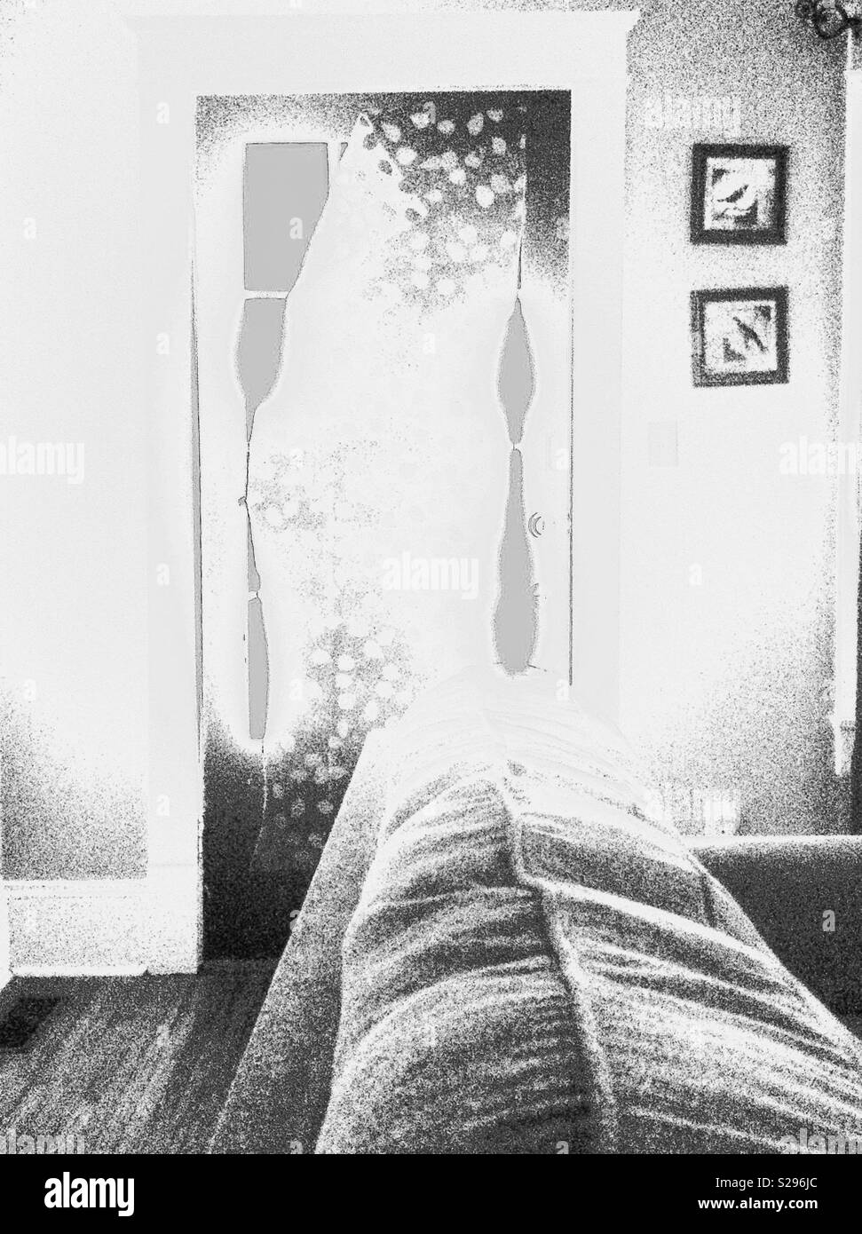Thermal Image Filtered To Black And White Of Lengthwise View