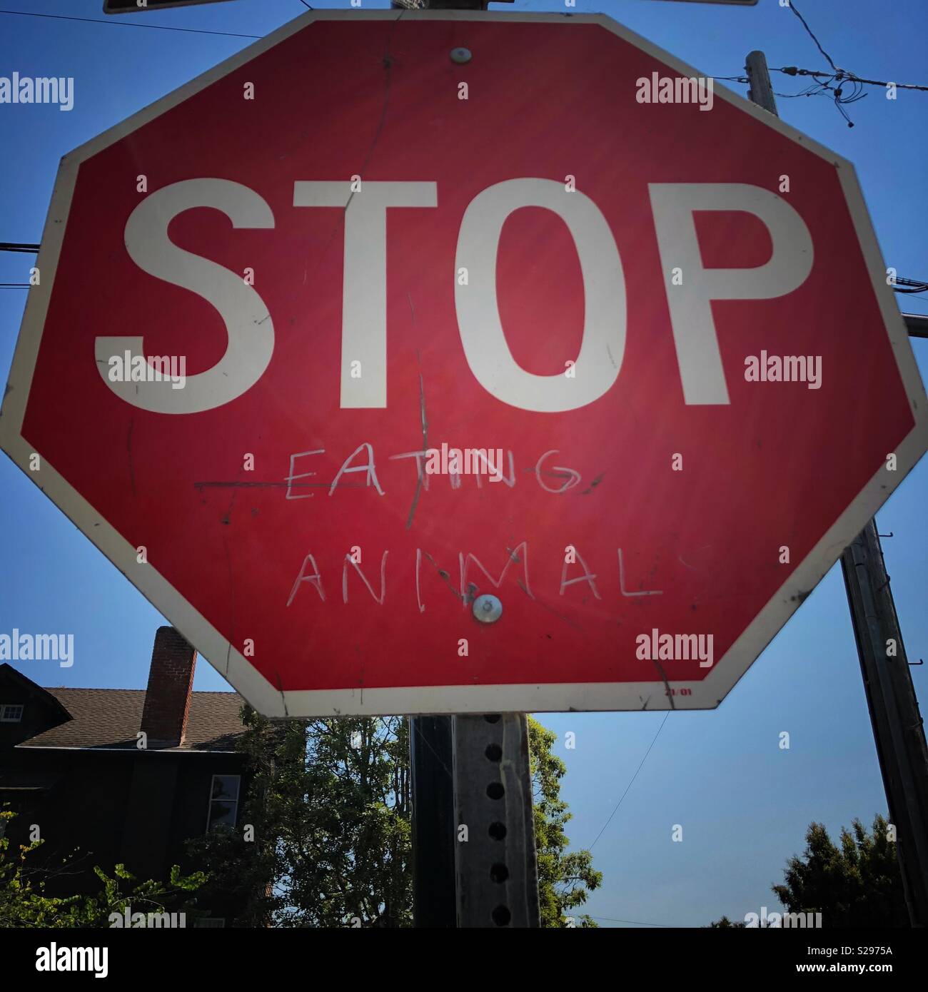 Stop sign saying Stop Eating Animals. - Smartphone Captured Stock Image