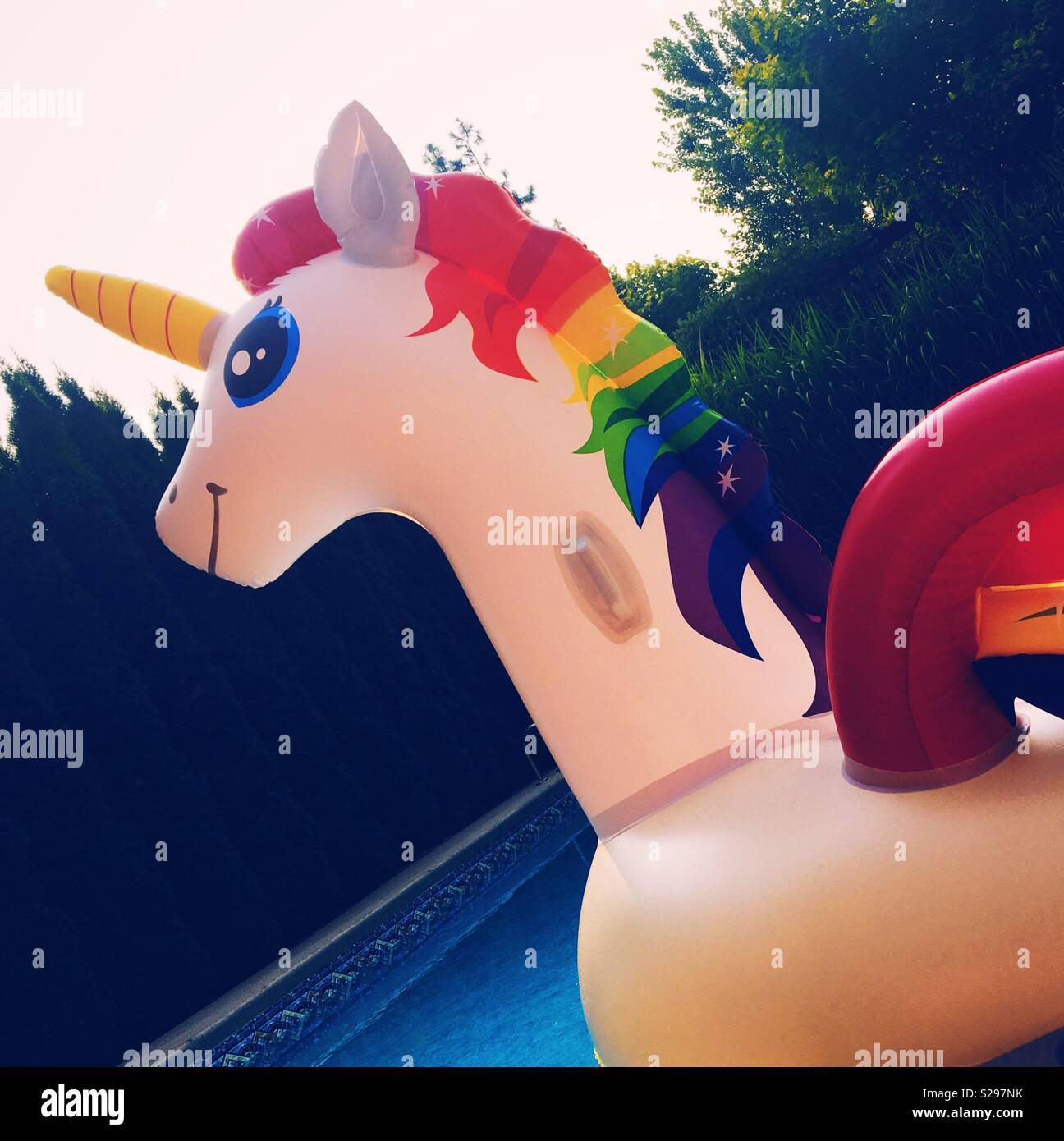 Inflatable rainbow unicorn floating in outdoor swimming pool on a late summers afternoon. Square crop. Stock Photo