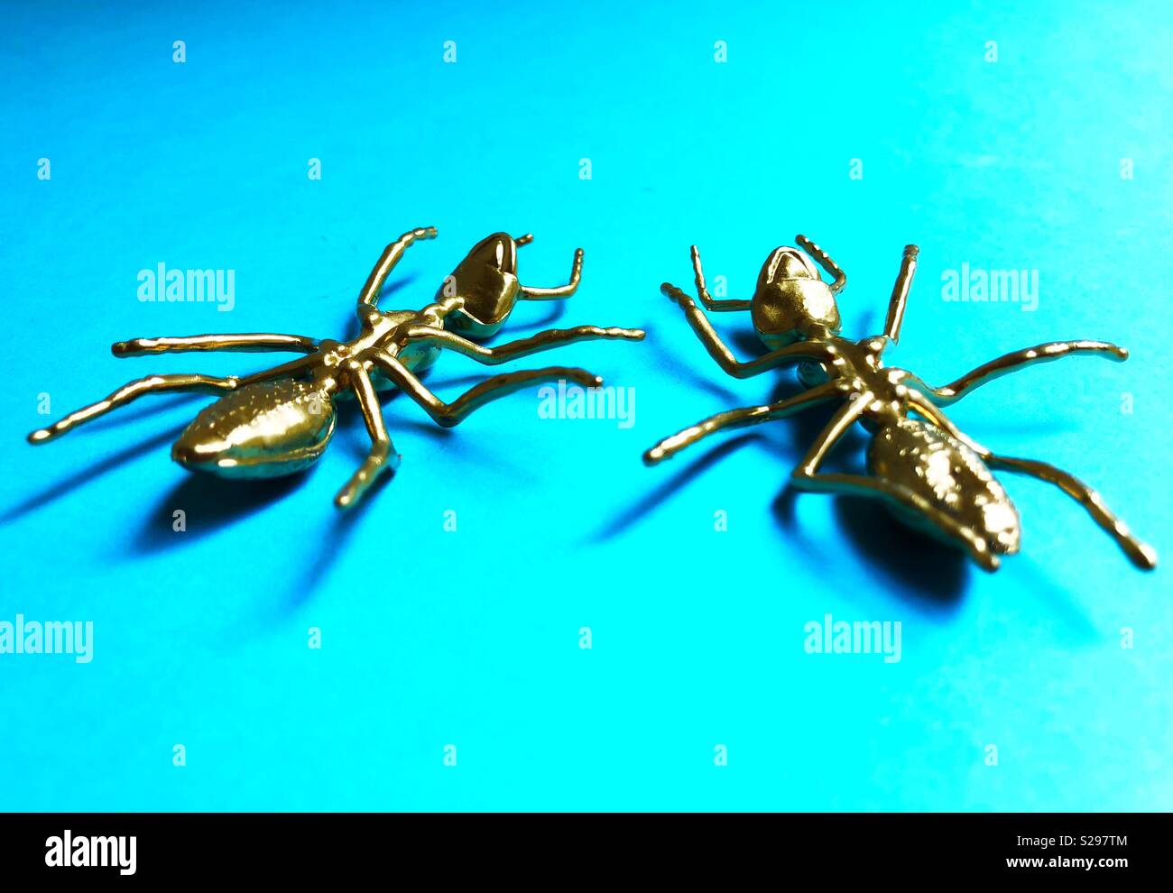 Gold Digging Ant Stock Photos and Pictures - 8 Images