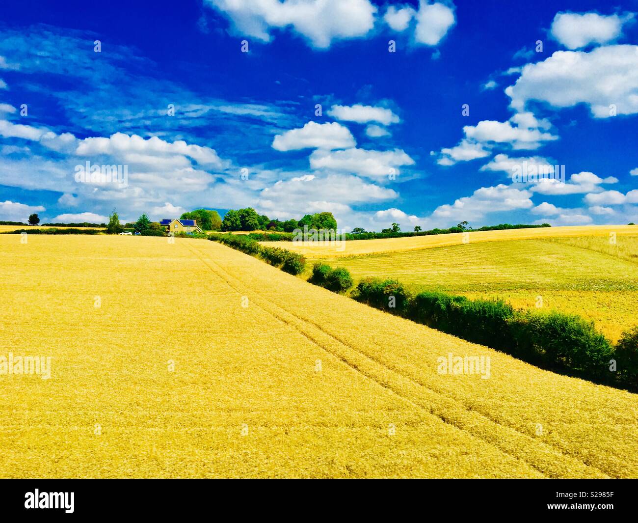 Cotswolds Landscape - summer fields, golden days Stock Photo