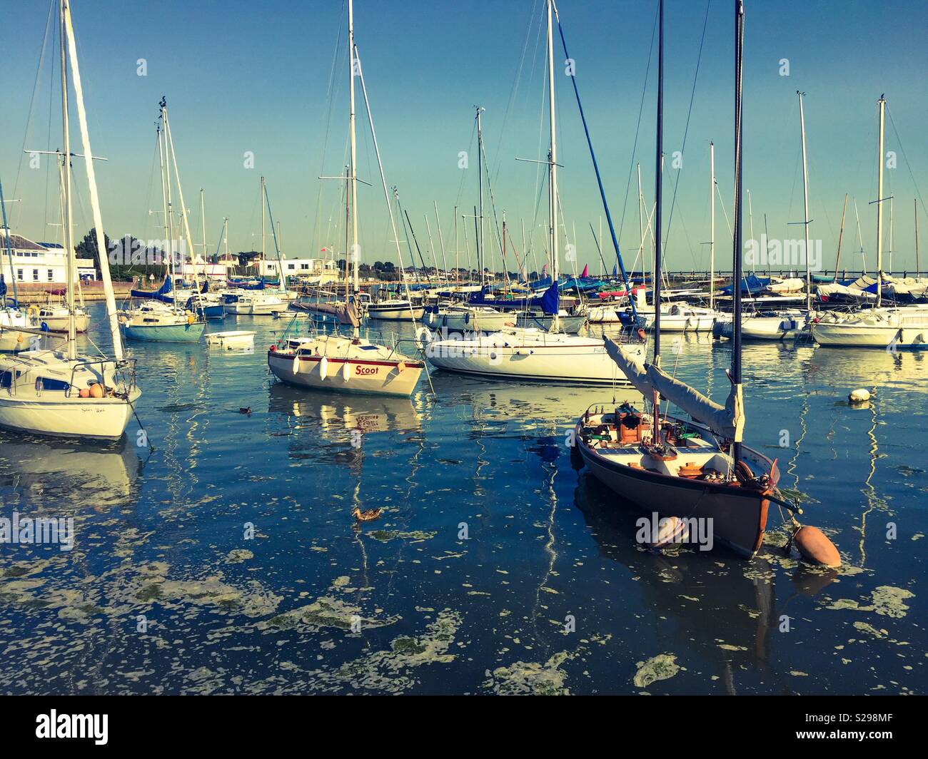 Boats in Marina on a sunny day Stock Photo