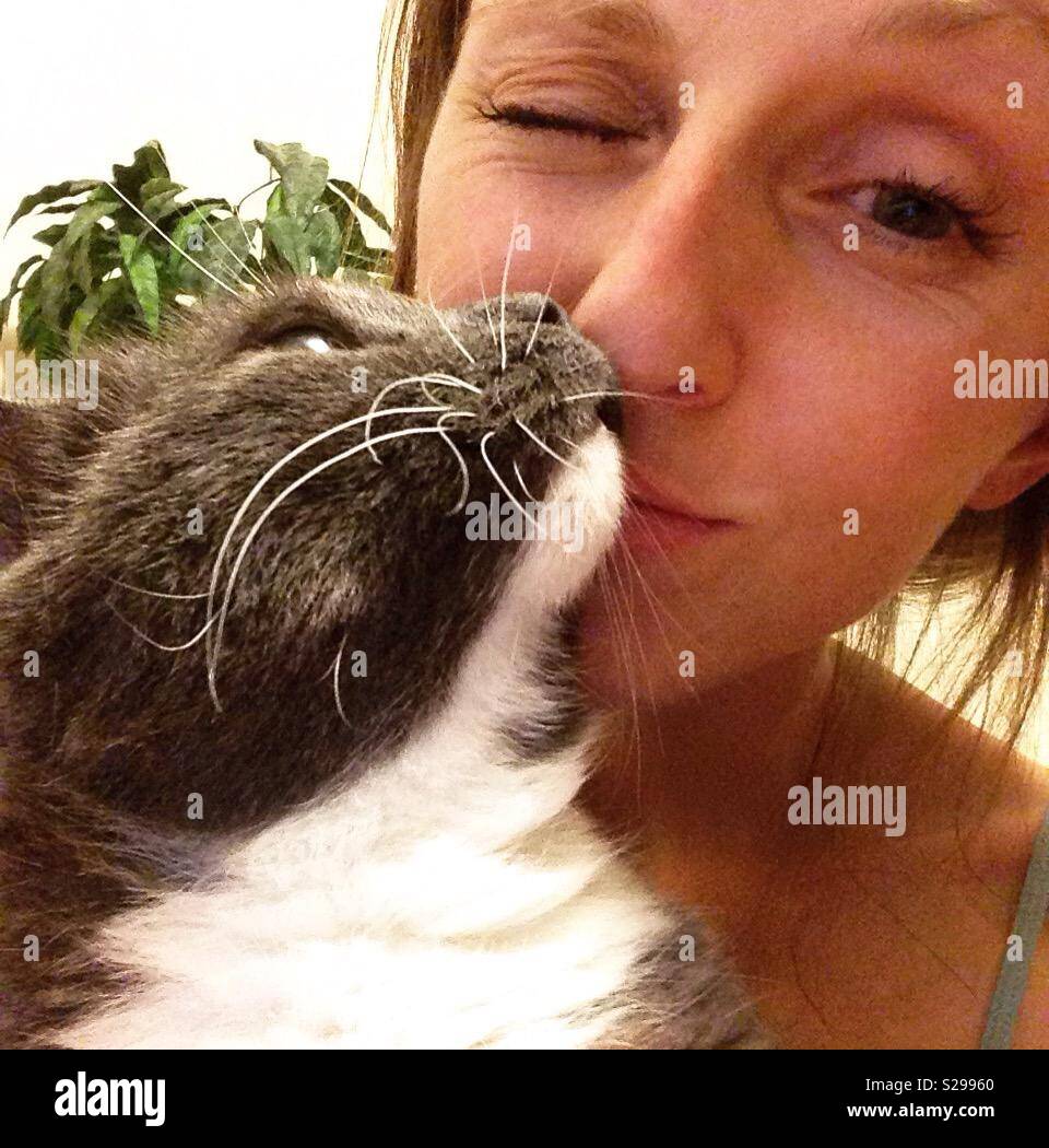 Woman with cat, cat owner, pet owner, love, togetherness - Smartphone Captured Stock Image