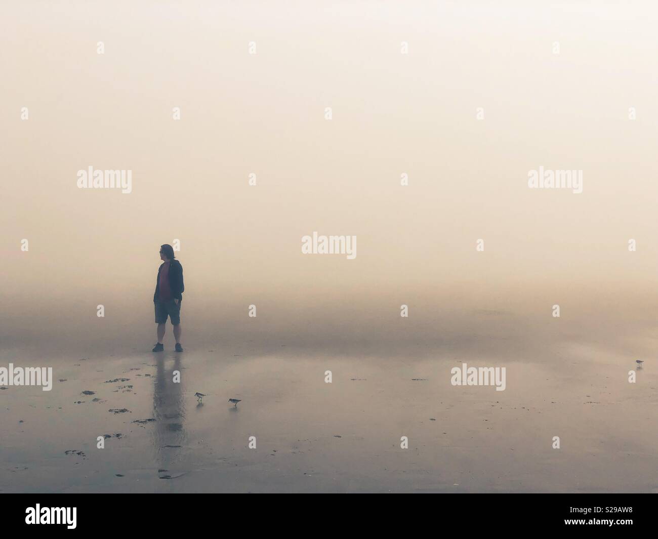 A man standing alone on a foggy beach. Stock Photo