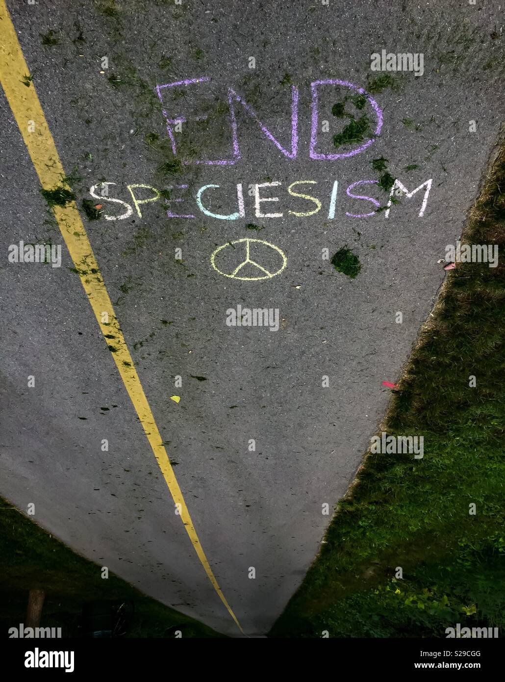 Animal Rights message. End speciesism. Piece symbol. Vegans, vegetarians, plant based, make common cause. - Smartphone Captured Stock Image