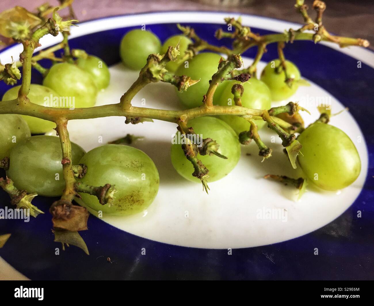 Half eaten bunch of grapes on a plate. - Smartphone Captured Stock Image