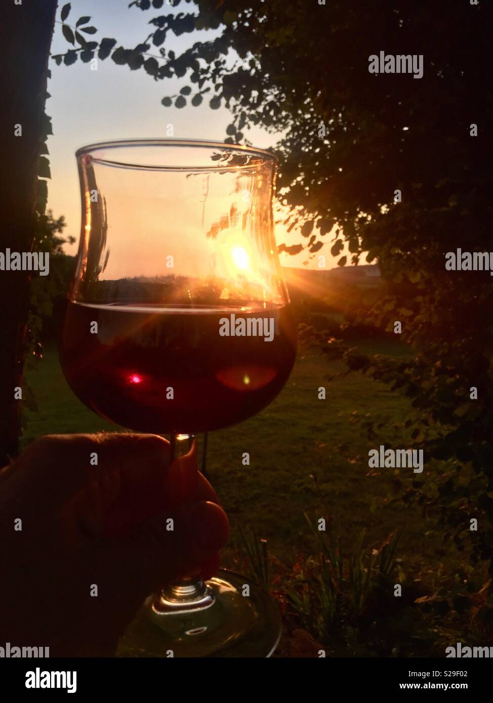 Sante! Enjoying a full bodied glass of red wine, back lit by the evening sunshine. Stock Photo
