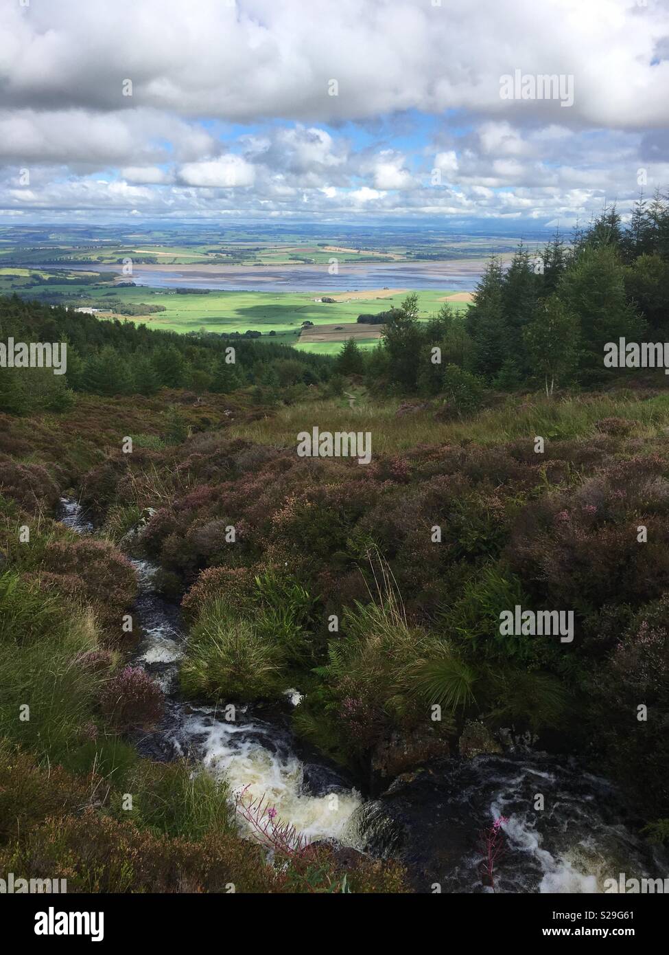 Waterfall thundering down criffle surrounded by beautiful heather and a funnel of trees with solway estuary and patchwork of fields on the horizon Stock Photo