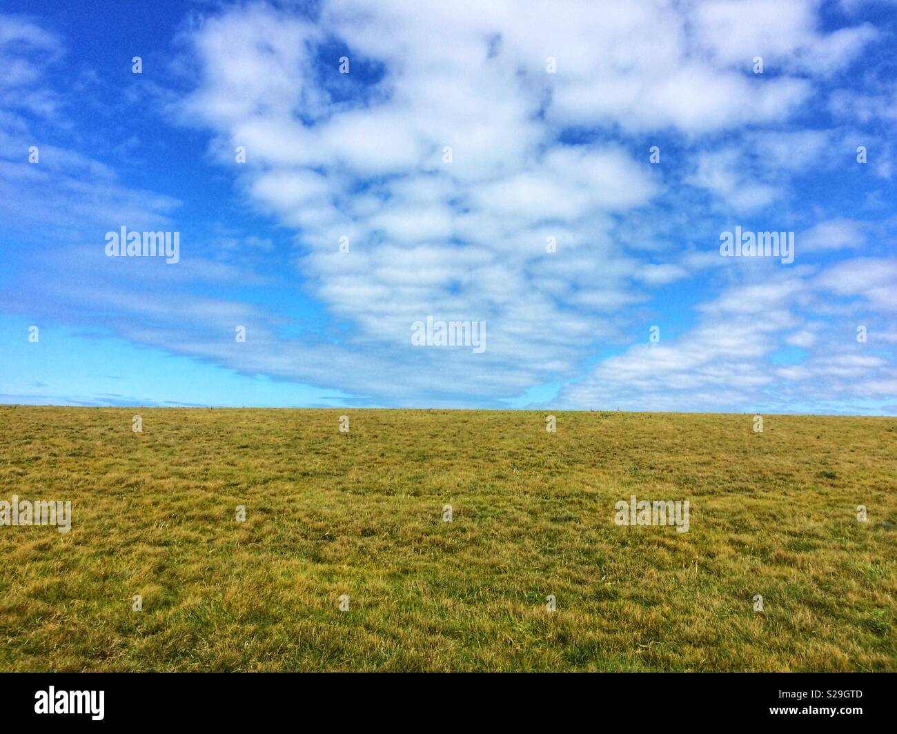 Wide open cliff top, Cornwall Stock Photo Alamy
