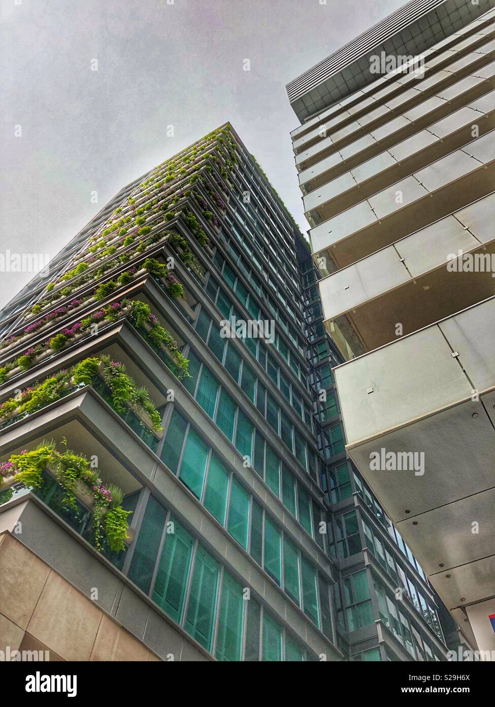 High rises in Toronto, Canada. - Smartphone Captured Stock Image