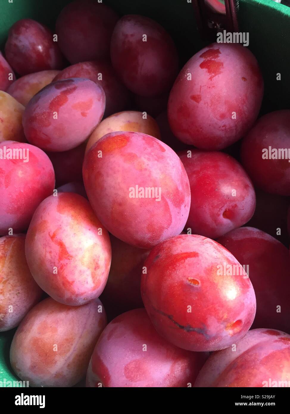 Victoria plums hires stock photography and images Alamy
