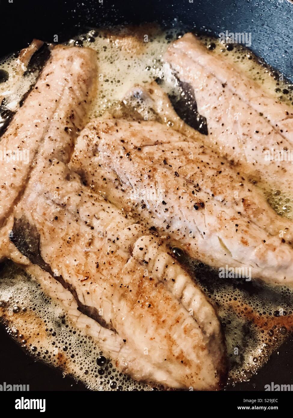 Mackerel fillets fried in garlic butter - Smartphone Captured Stock Image