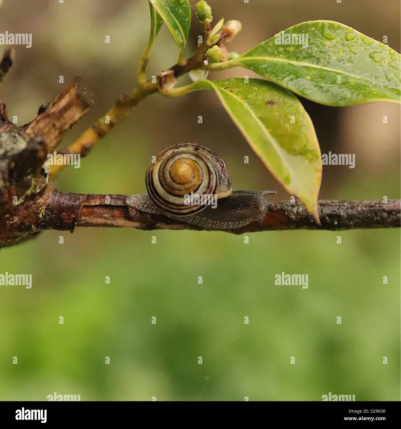 Take cover hi-res stock photography and images - Alamy