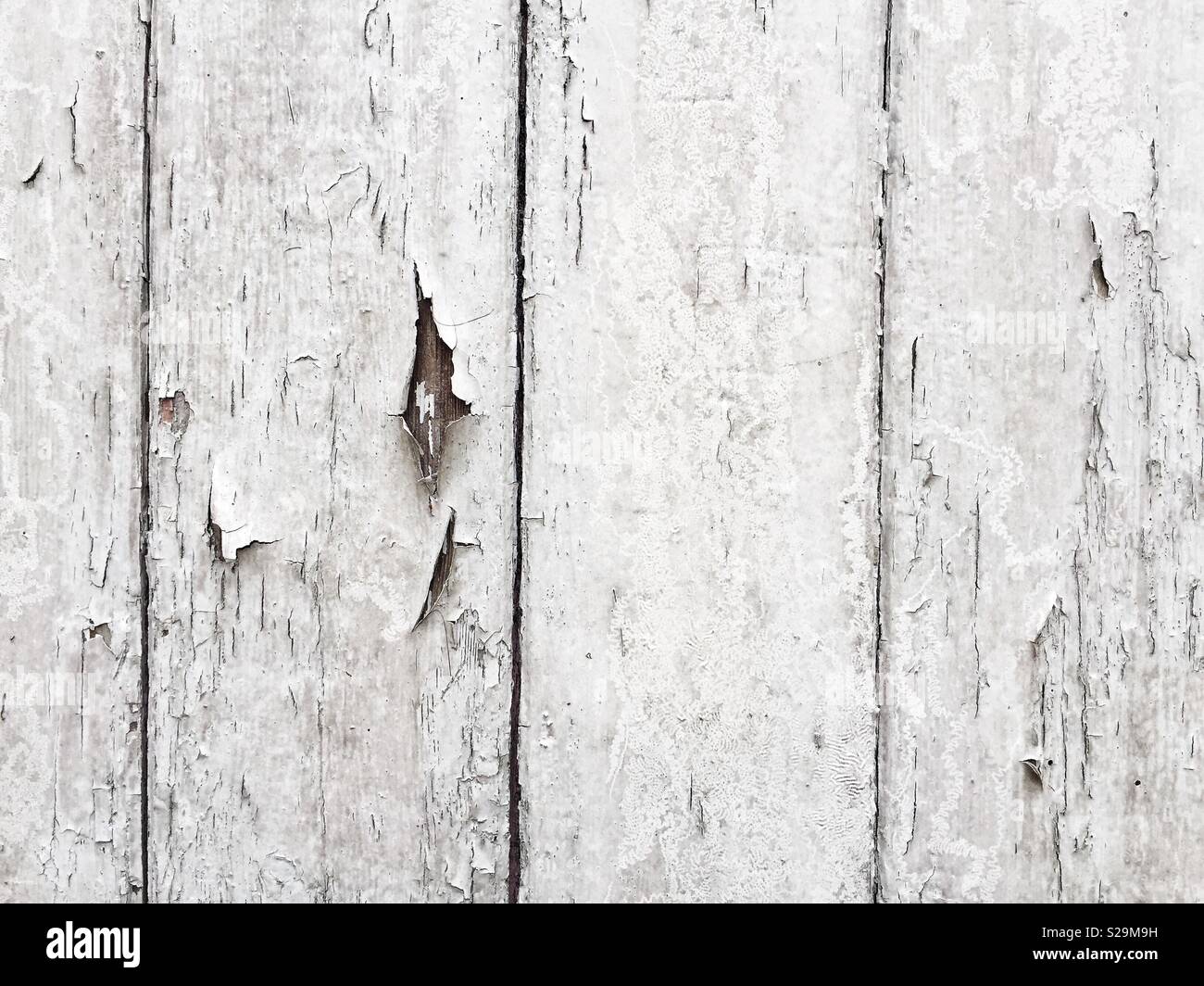 A textured wood background image of wooden boards with cracked and blistering white paint Stock Photo