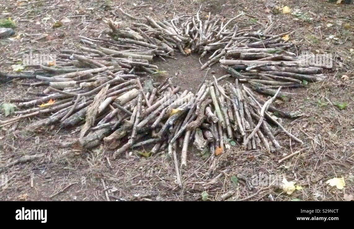Circle of sticks Stock Photo Alamy