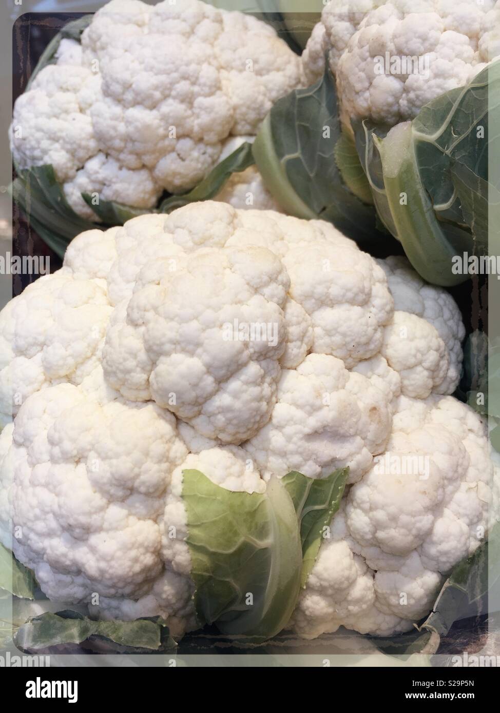 Cauliflower heads hires stock photography and images Alamy