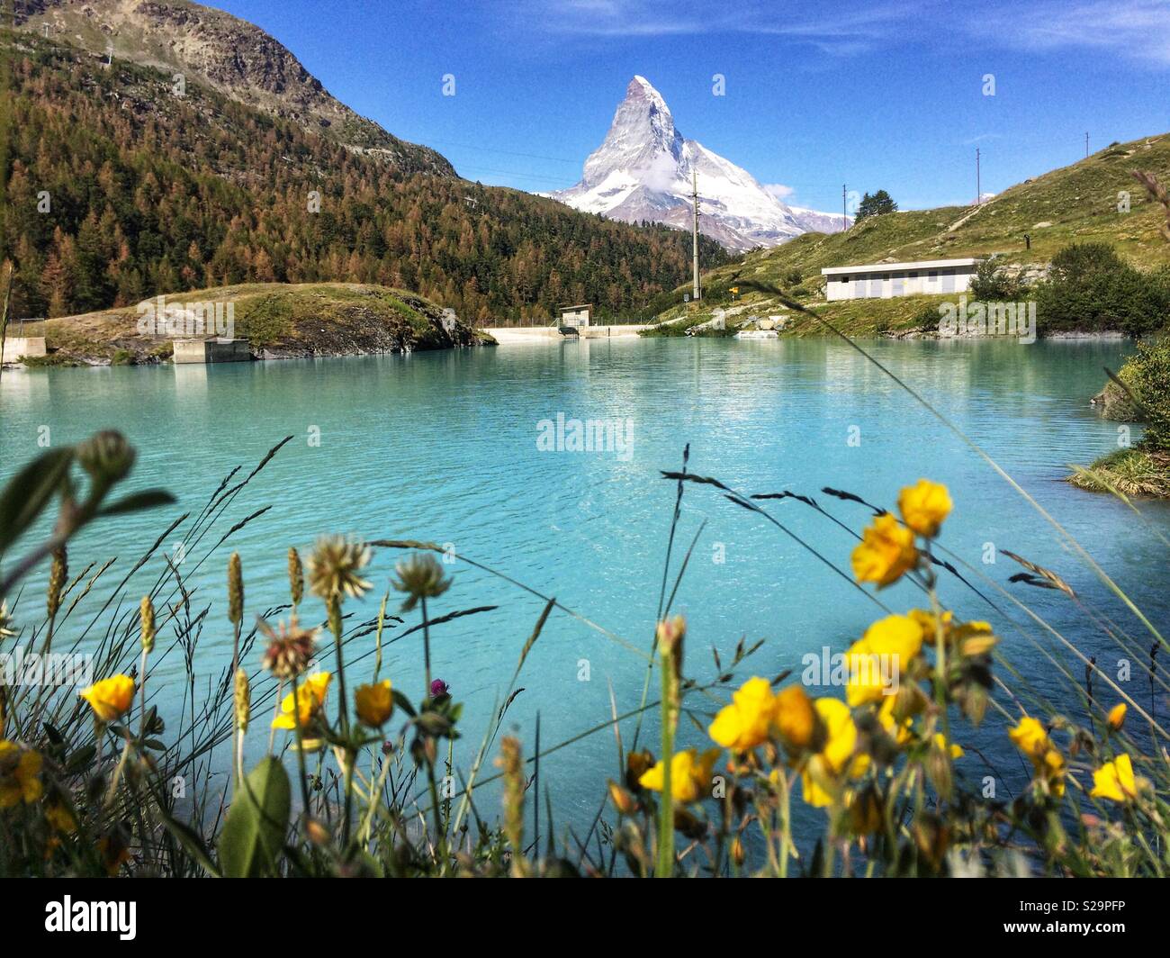 Moosjiesee lake. Five lakes trail in Rothorn Paradise: one of top five lakes destination around matterhorn Peak in Zermatt, Switzerland, Europe - Smartphone Captured Stock Image