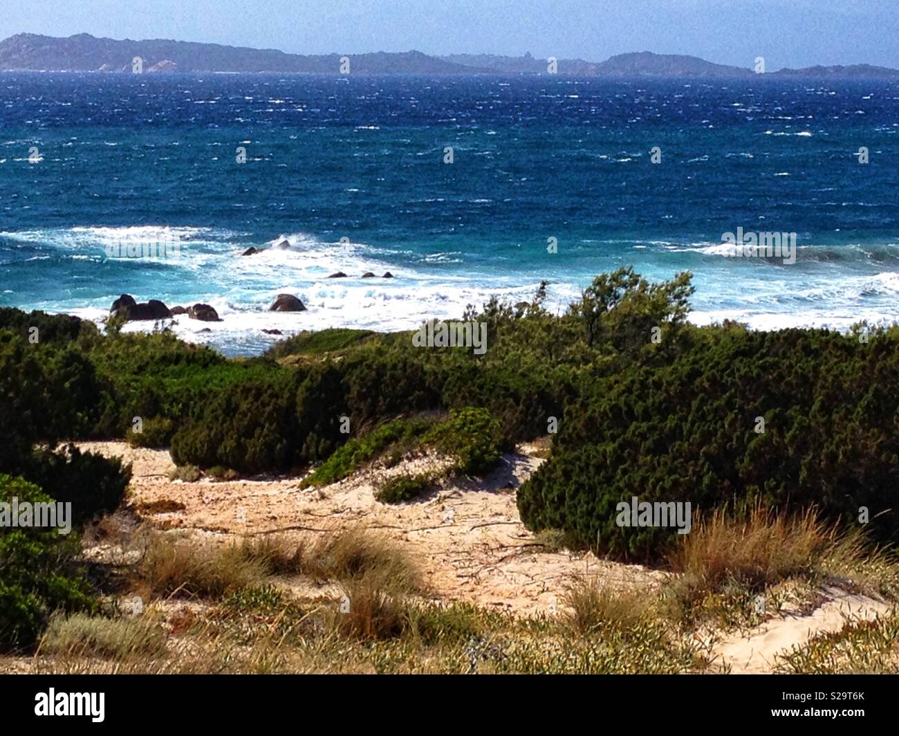 The air is filled with the Myrtle scent on the small Island of La Maddalena - Italy Stock Photo