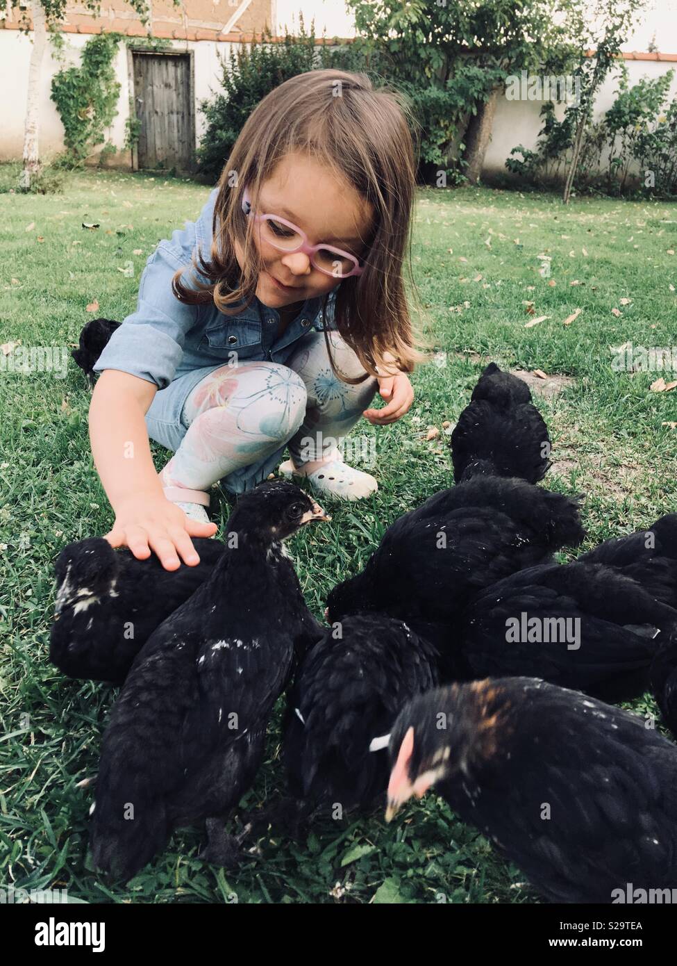 Little girl is caressing a black chicken on grass Stock Photo