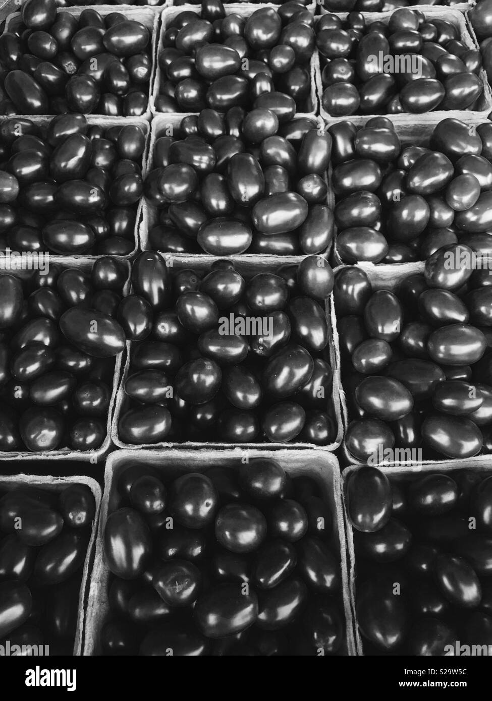 Twelve pints of cherry tomatoes in black and white Stock Photo