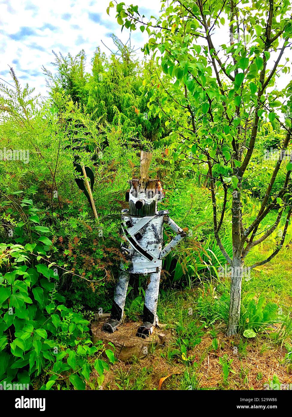 The forest warrior hi-res stock photography and images - Alamy