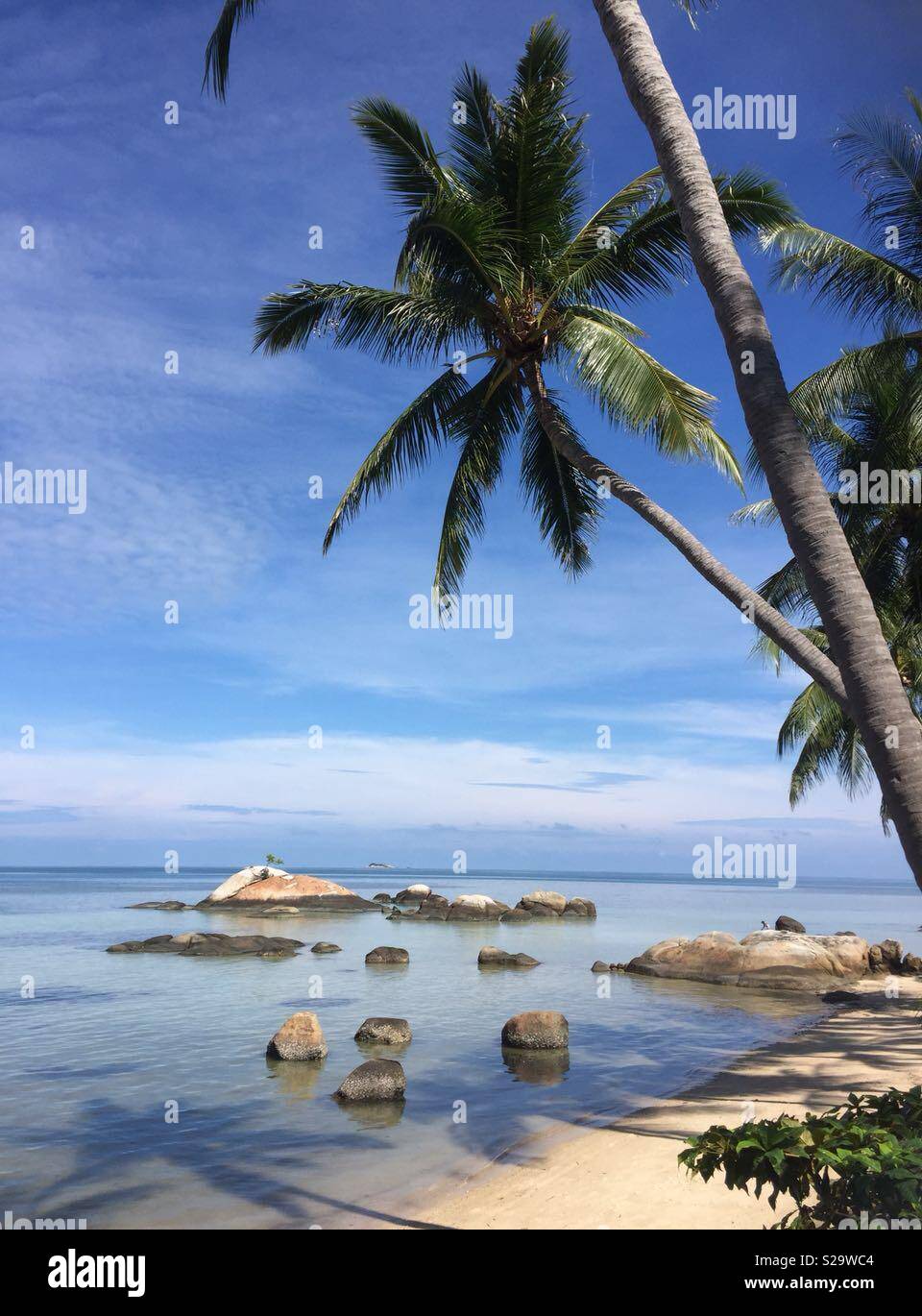 koh phangan - Thailand - Beach Stock Photo - Alamy