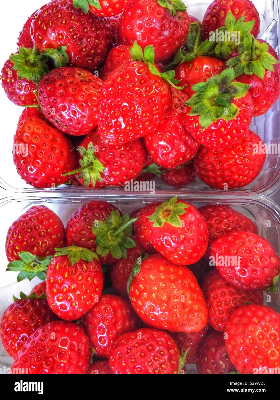 Strawberry strawberries punnet punnets hi-res stock photography and ...