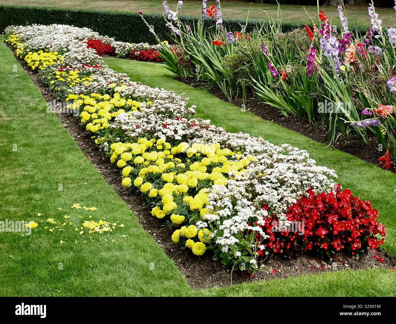 Colourful flower beds Stock Photo