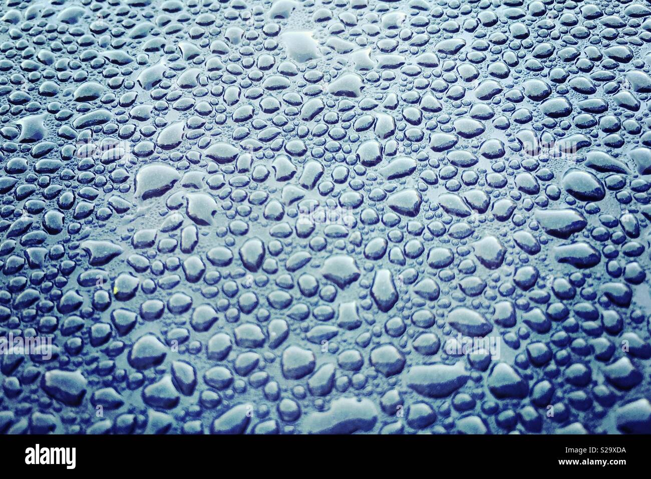 Water droplets on black metallic surface Stock Photo