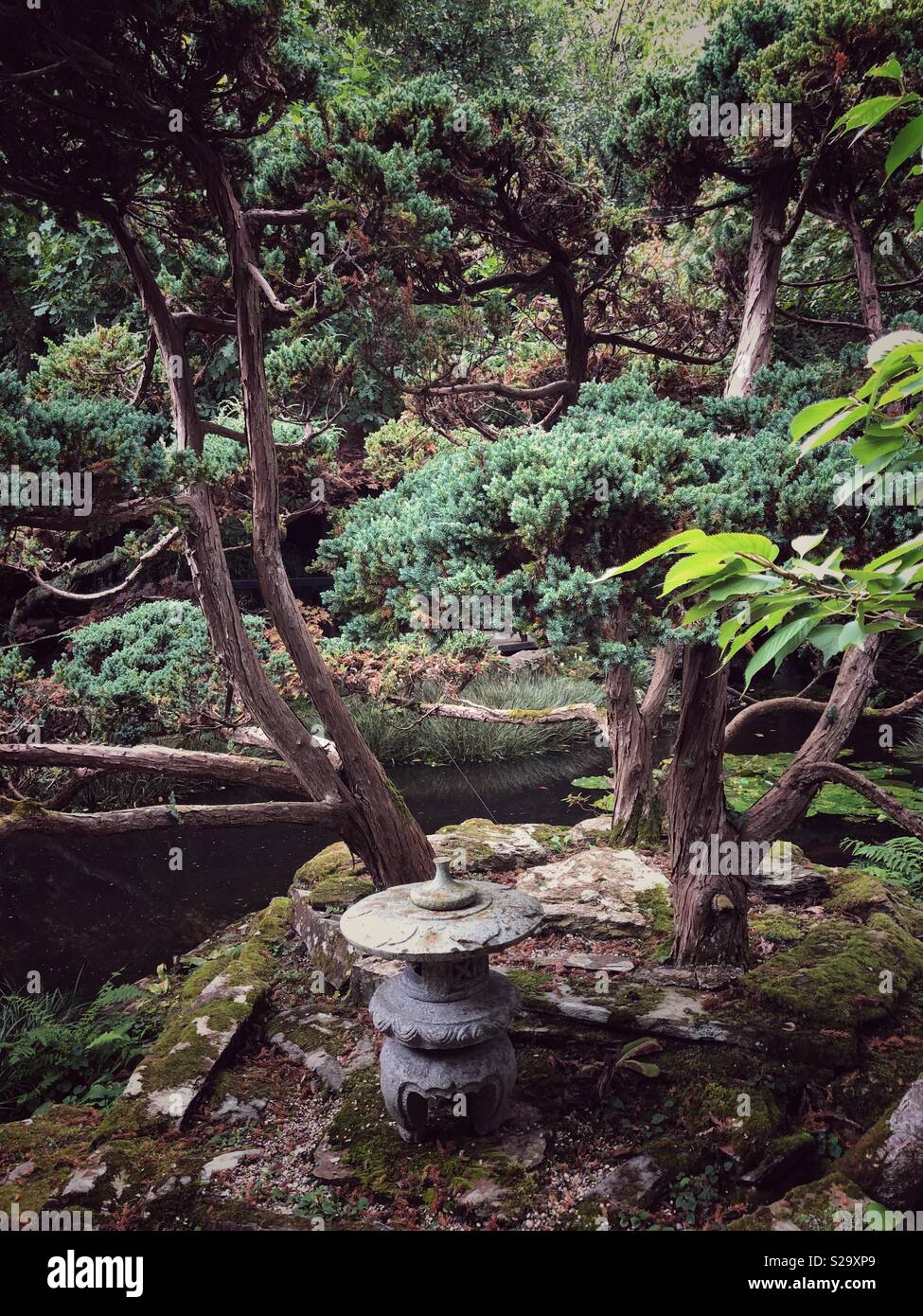Japanese stone lantern - toro - in The Japanese garden in Cornwall uk Stock Photo