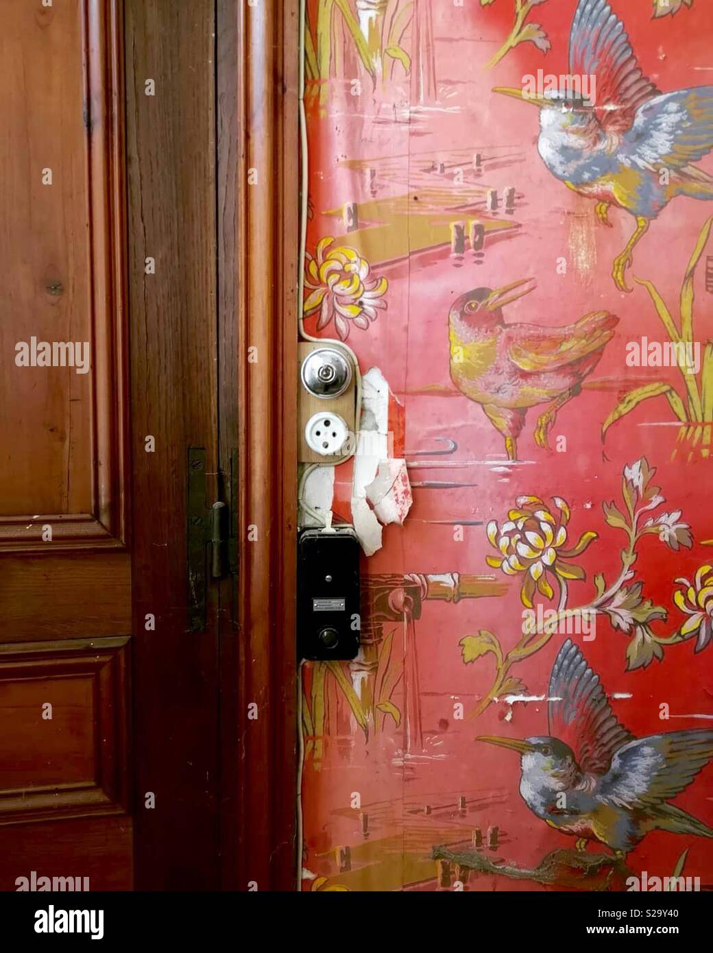 Vintage wallpaper with birds Stock Photo - Alamy