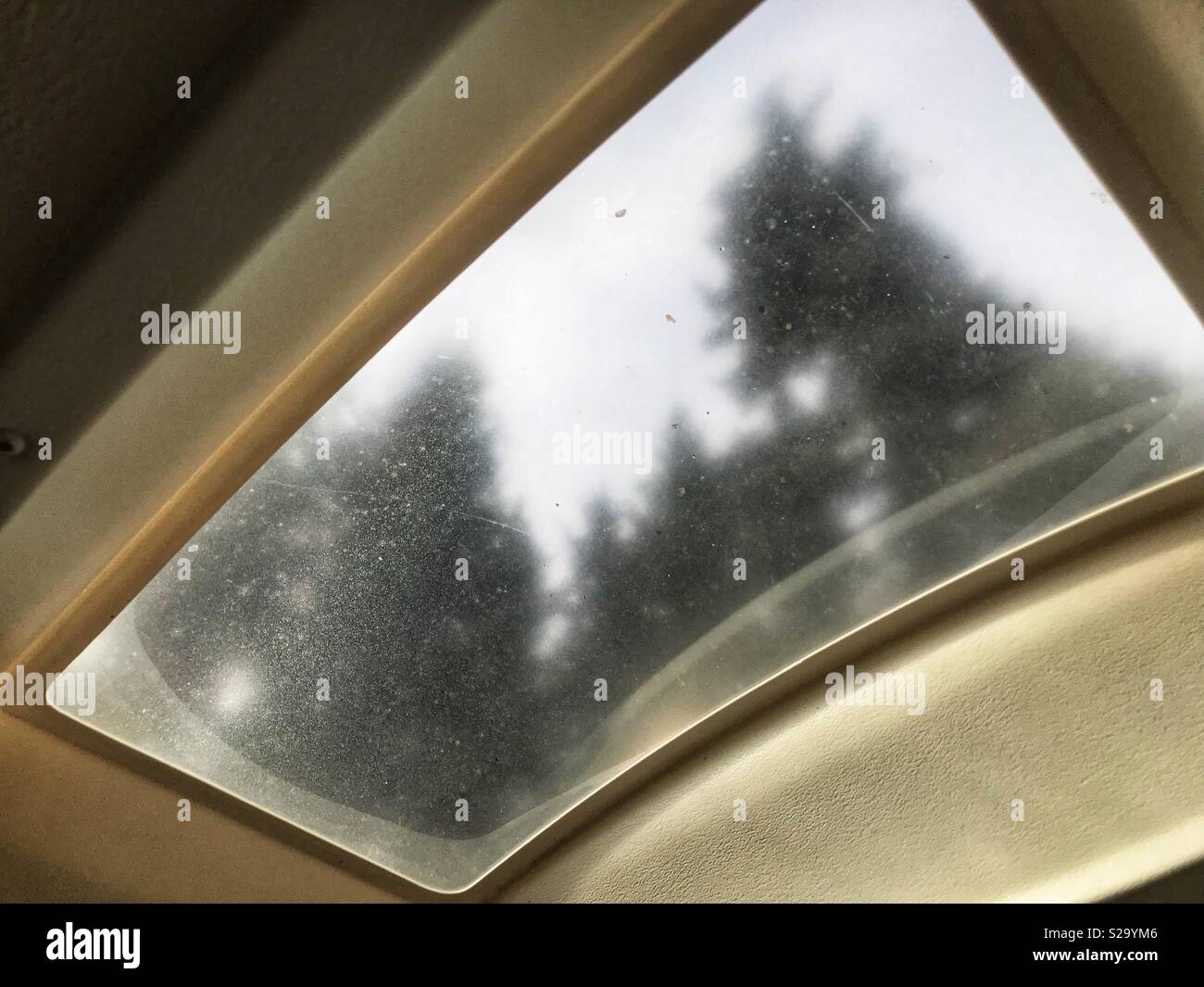 A dirty skylight in a camper still gives a glimpse of the forest outside. - Smartphone Captured Stock Image