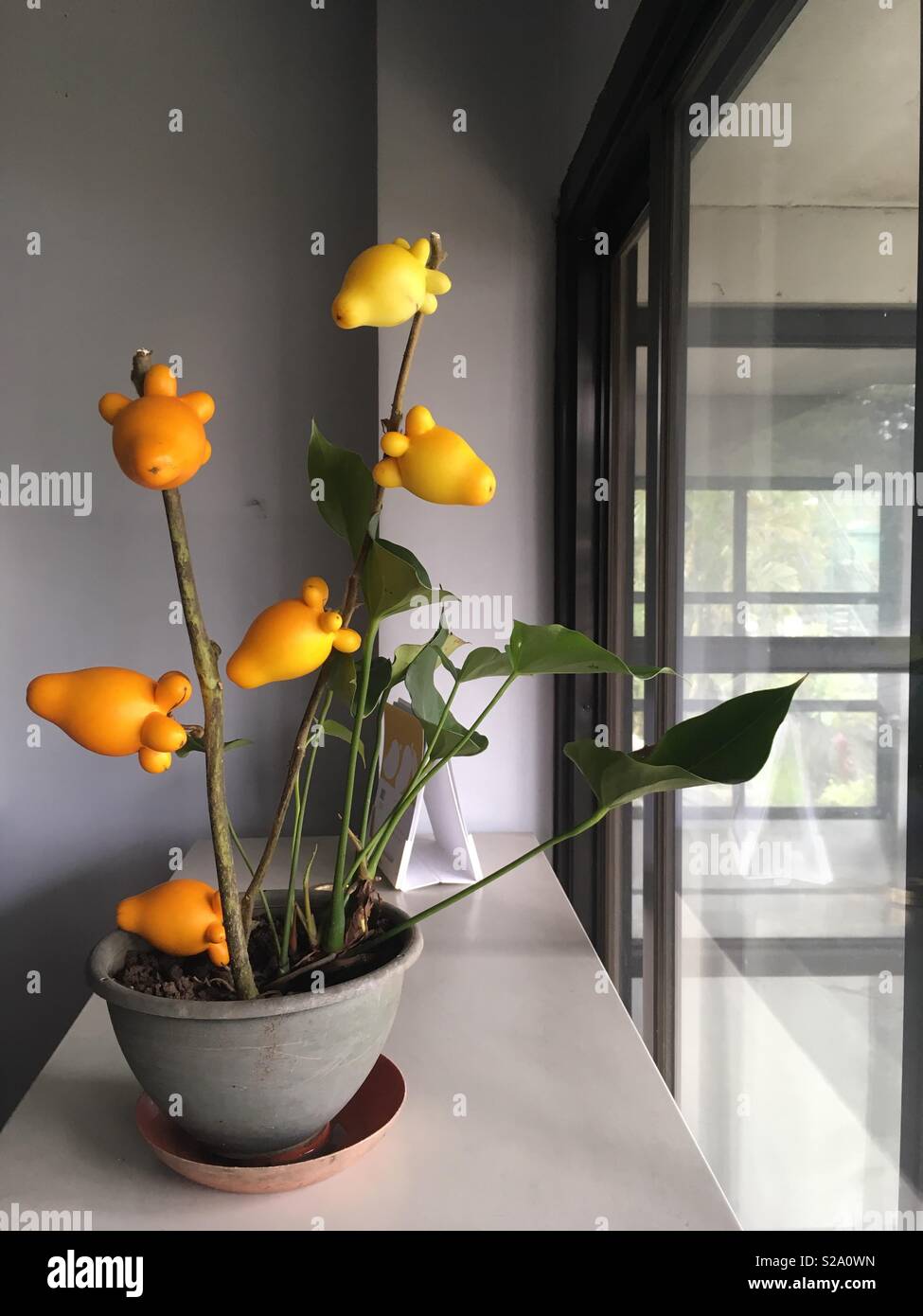 Real flower hires stock photography and images Alamy