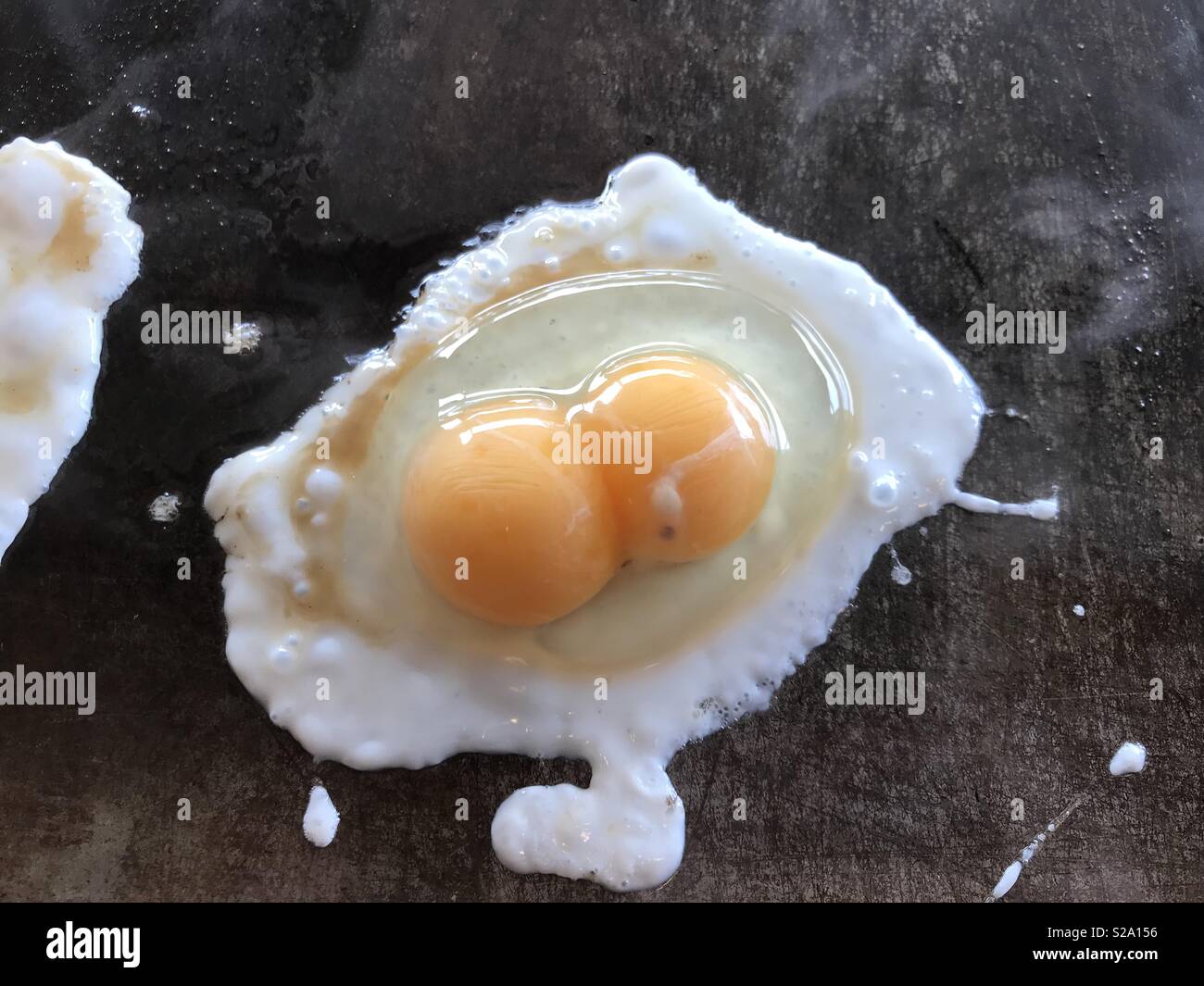 Double yolk egg Stock Photo Alamy