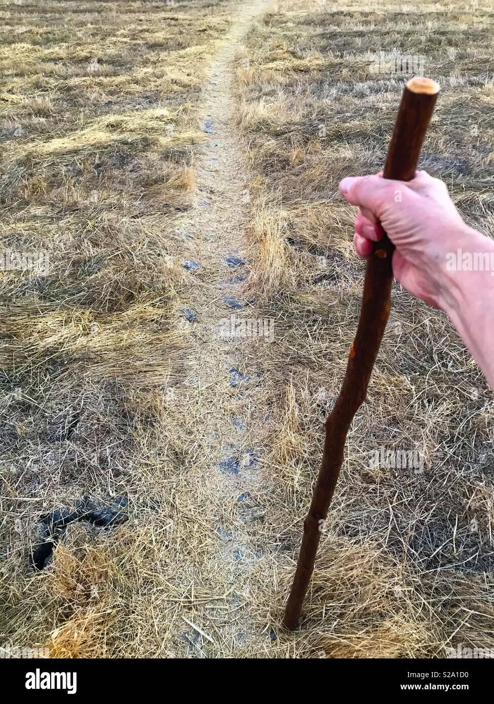 Man with walking stick along dry path - Smartphone Captured Stock Image