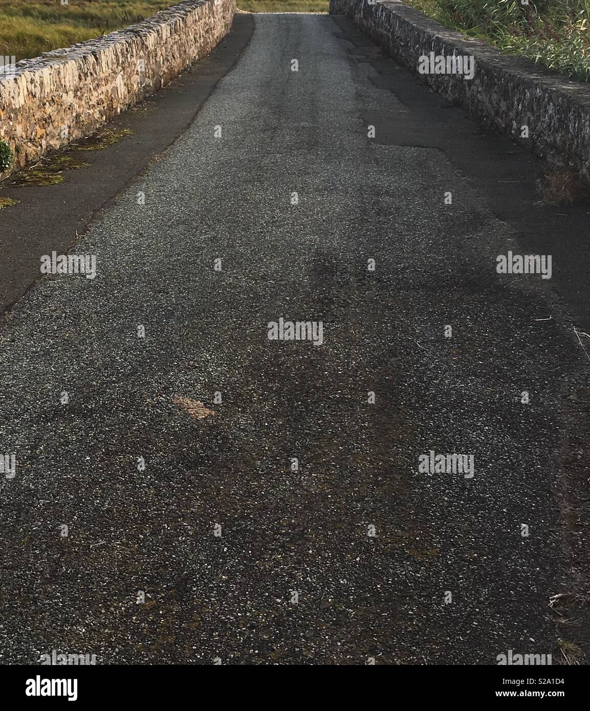Old bridge road overgrown Stock Photo Alamy