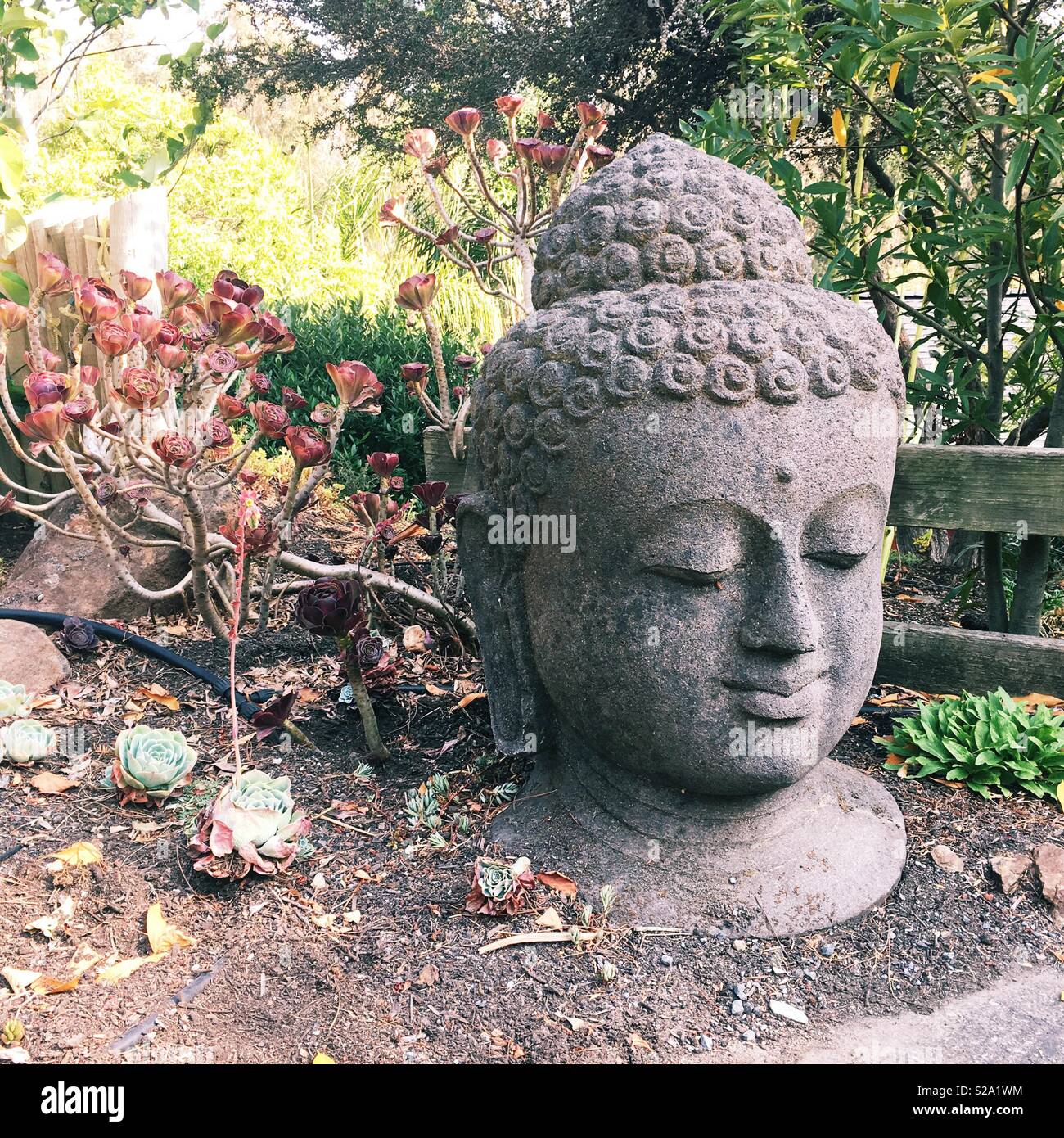 A large statue of Buddha’s head in a garden. Stock Photo