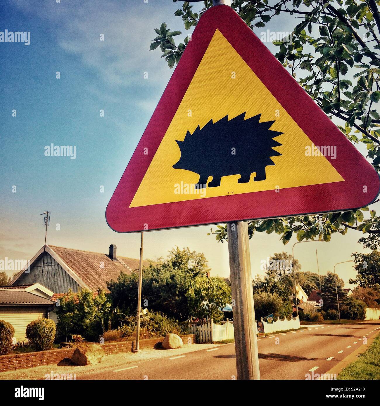 Hedgehog crossing - a road warning sign for crossing hedgehogs in suburbia - hedgehog safety warning speed limit sign Stock Photo