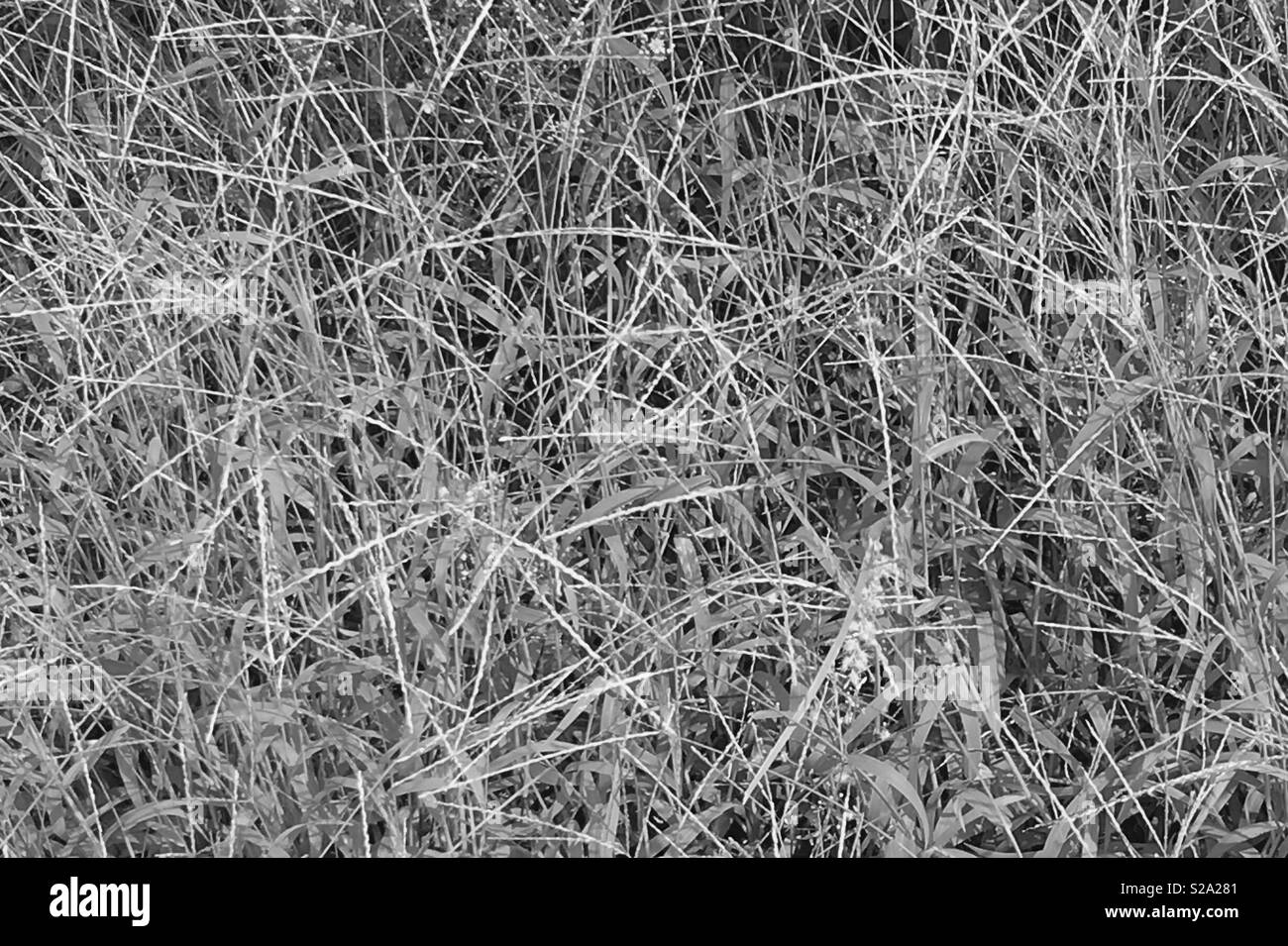 Scratch marks hires stock photography and images Alamy