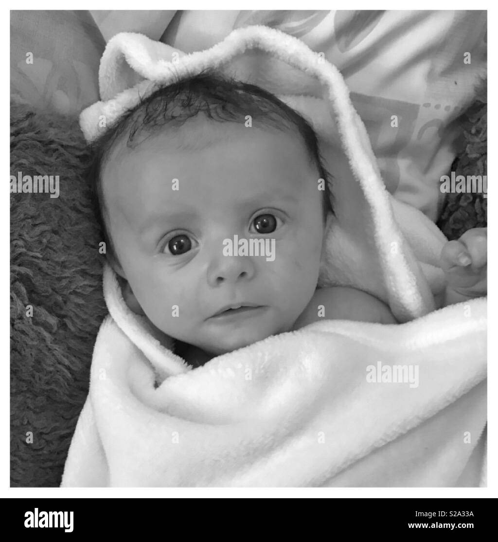 9 week old baby Stock Photo