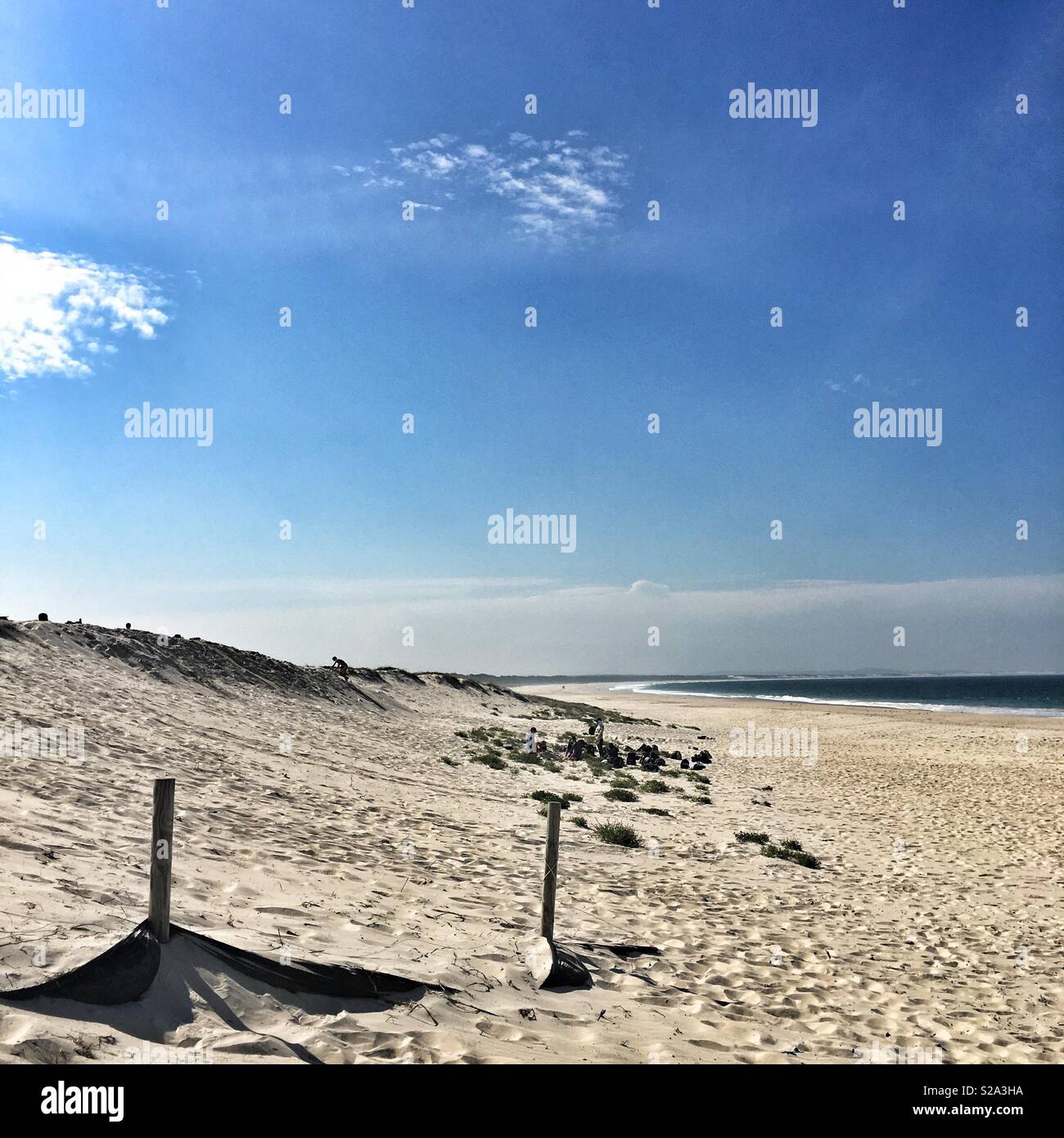 Sand dunes, Australia Stock Photo - Alamy