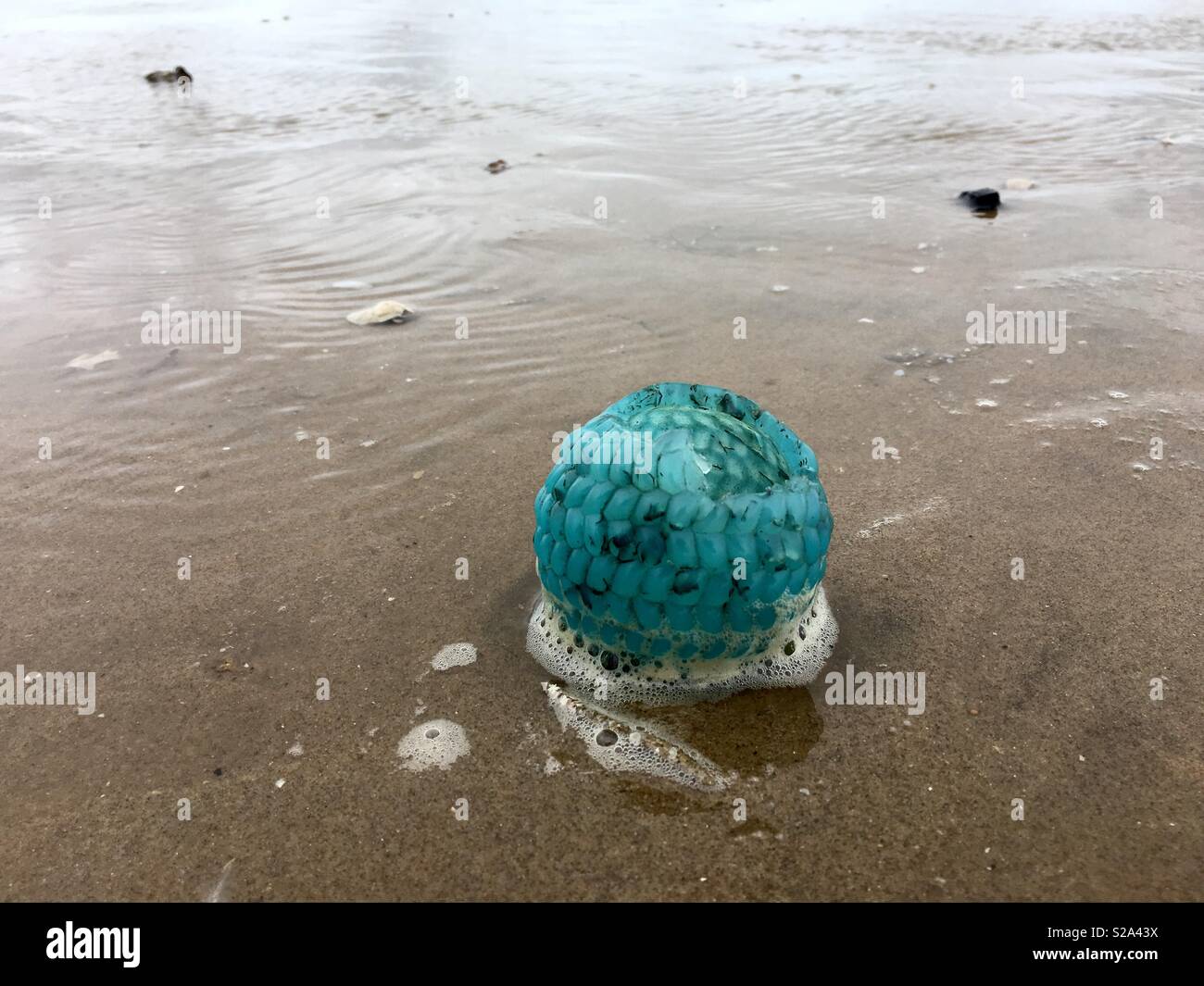 Ball left behind on thebeach Stock Photo