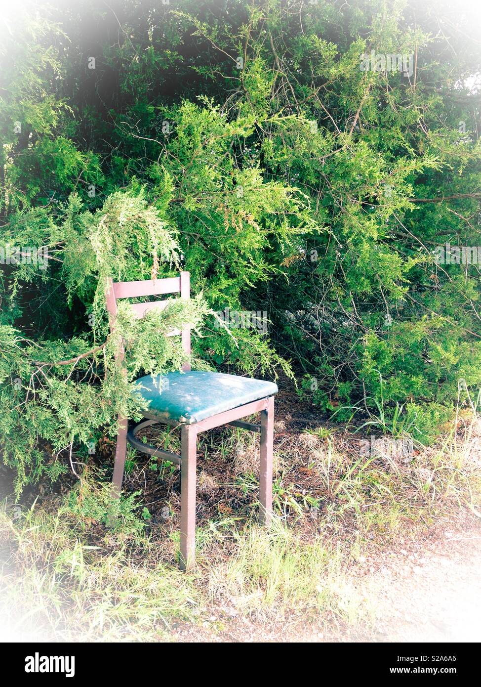 Vignetted photo of metal chair sitting in woods - Smartphone Captured Stock Image